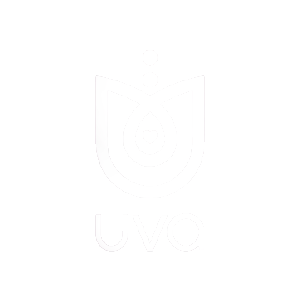 Mesa de trabajo 4 copia 6-8